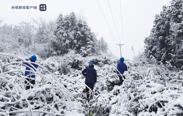 Cuaca Ekstrem di Sichuan, 30 Jalur Transmisi dilapisi Salju-Image-1