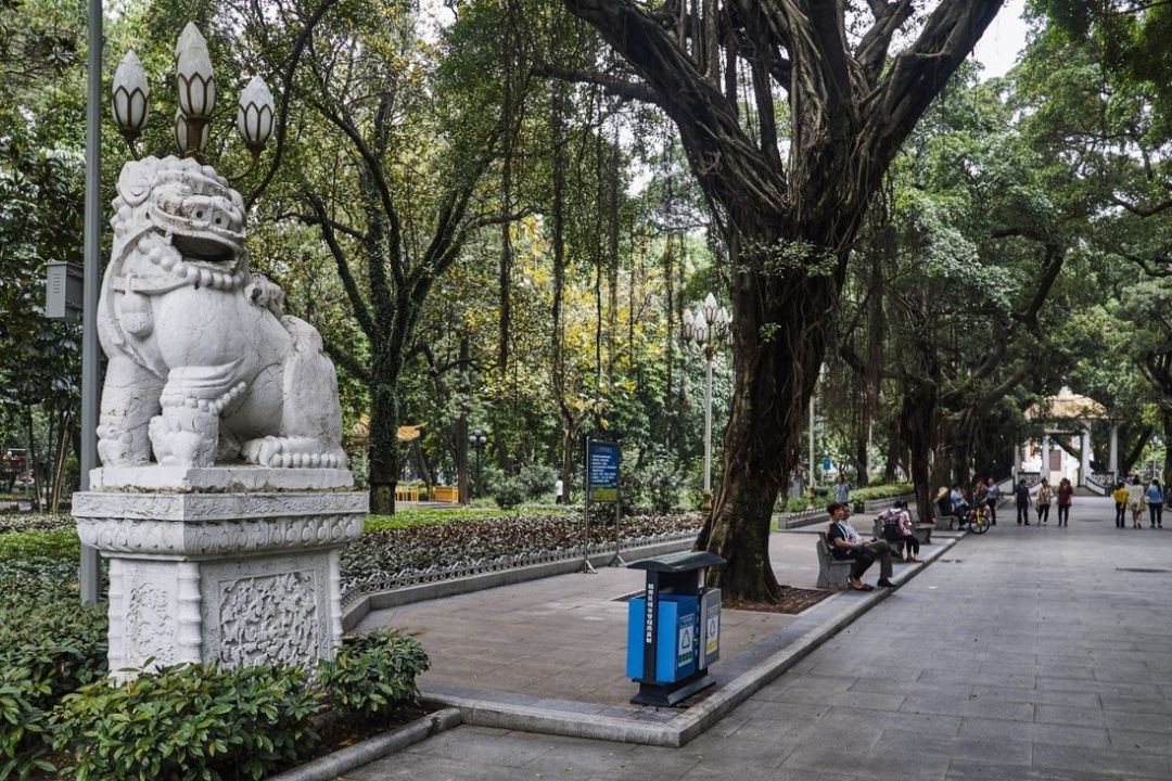 Pejabat Guangzhou Dihukum karena Tebang Pohon-Image-1