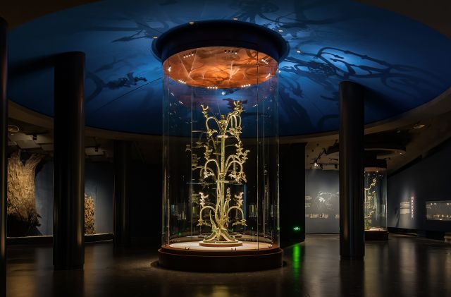 500 Lebih Benda Bersejarah Ditemukan, Museum Sanxingdui Banjir Pengunjung-Image-1