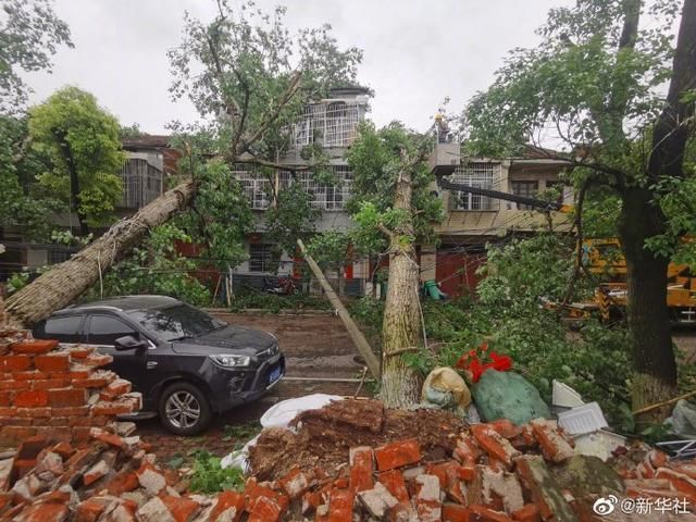 Angin Kencang Landa Yueyang Hunan, Banyak Rumah Rusak dan Pohon Tumbang-Image-2