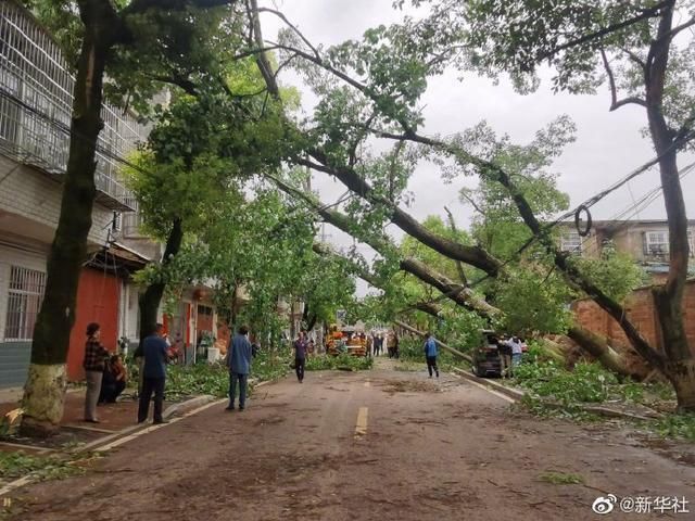 Angin Kencang Landa Yueyang Hunan, Banyak Rumah Rusak dan Pohon Tumbang-Image-1