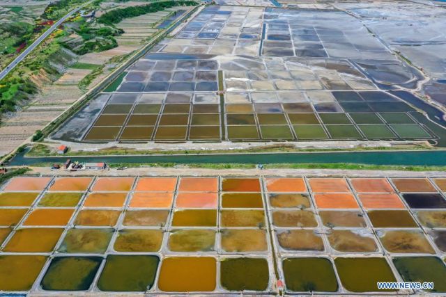POTRET : Ladang Garam di Shandong-Image-4