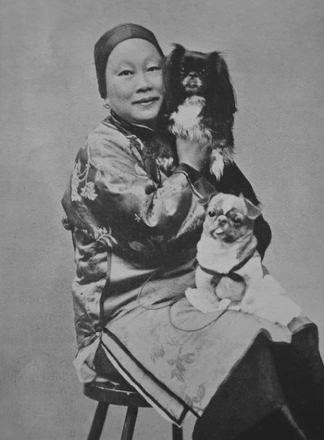 Anjing di Masa China Kuno-Image-2