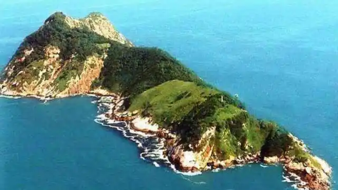 Pulau Ular di China Dihuni Puluhan Ribu Ular Berbisa-Image-1