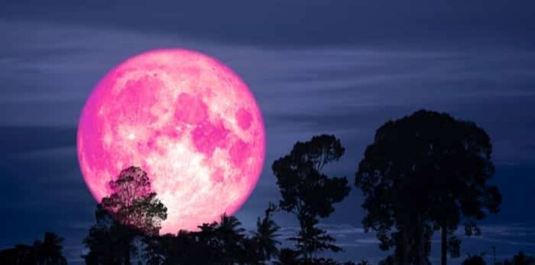 Jangan Sampai Ketinggalan! Fenomena Bulan Purnama Pink Nampak di Indonesia Akhir Pekan Ini-Image-1
