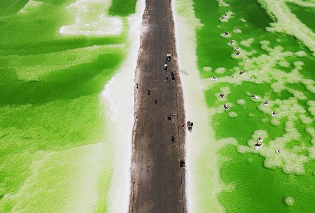 Danau Garam Qarhan, Cermin Langit Terbesar di China-Image-4