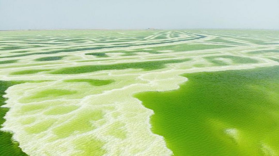 Danau Garam Qarhan, Cermin Langit Terbesar di China-Image-1