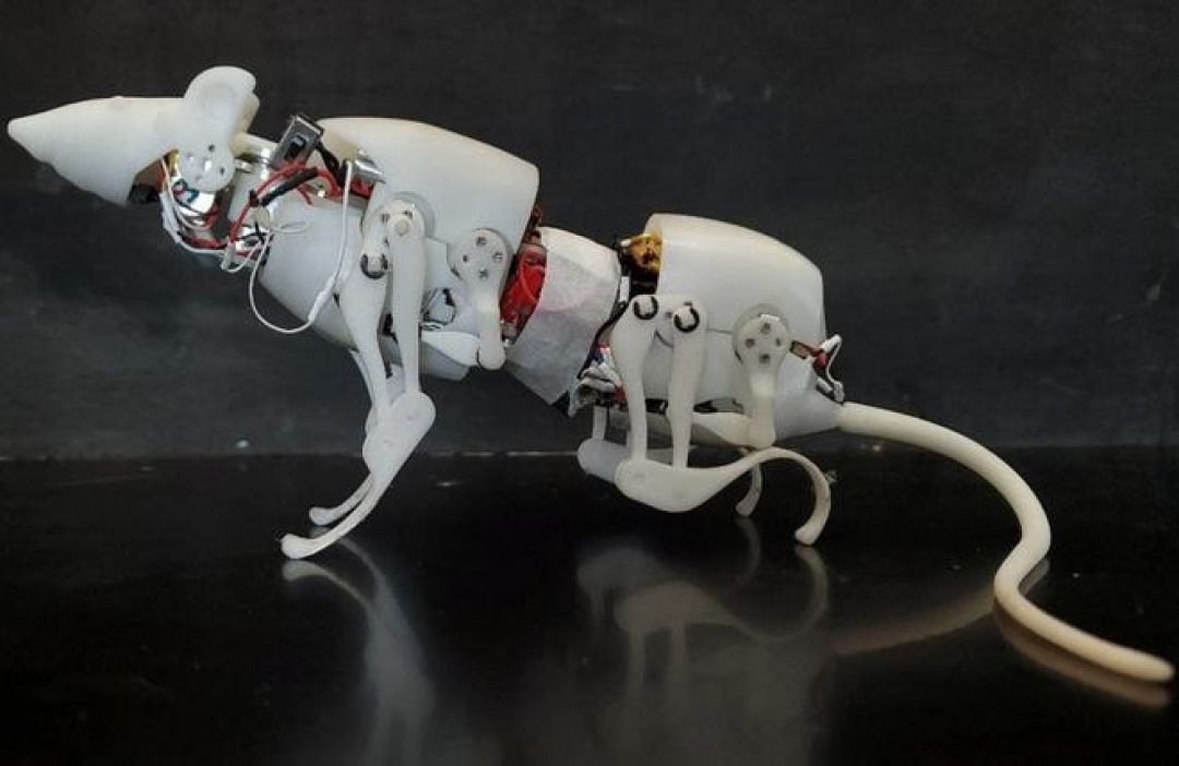 Peneliti China Bikin Robot Tikus, Super Gesit-Image-1
