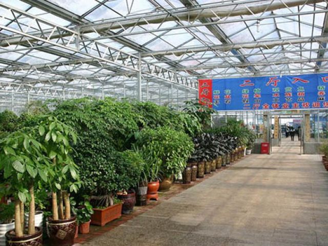 6 Pasar Bunga Terbesar di China-Image-5