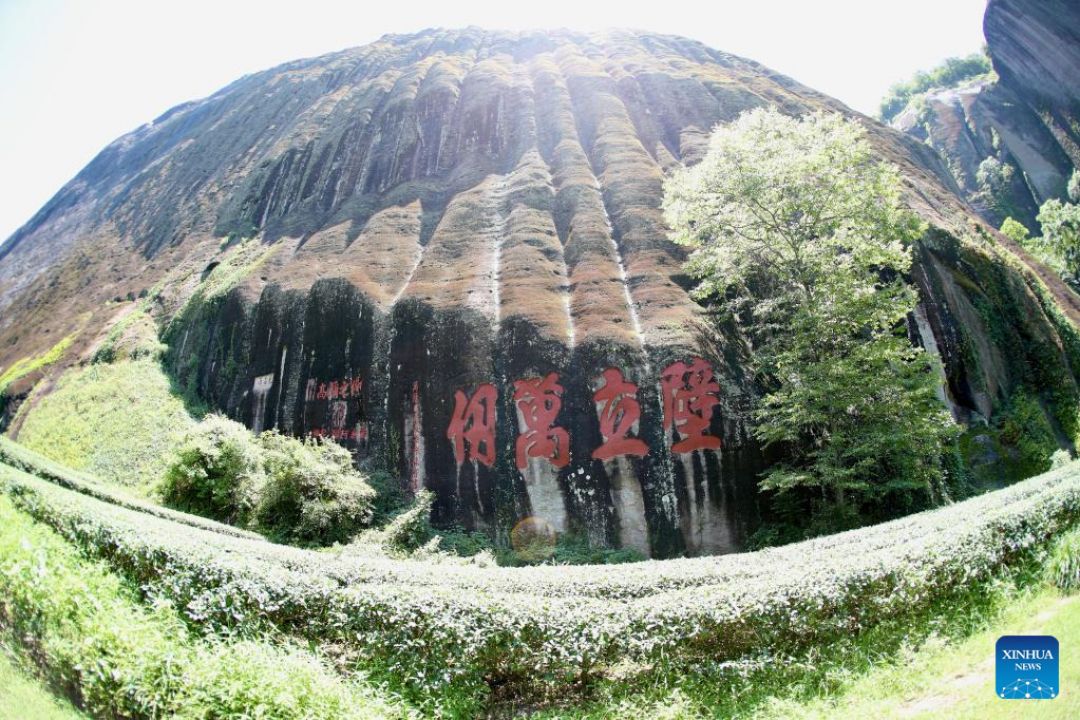 Gunung Wuyi, Pesona Indahnya Dunia-Image-4