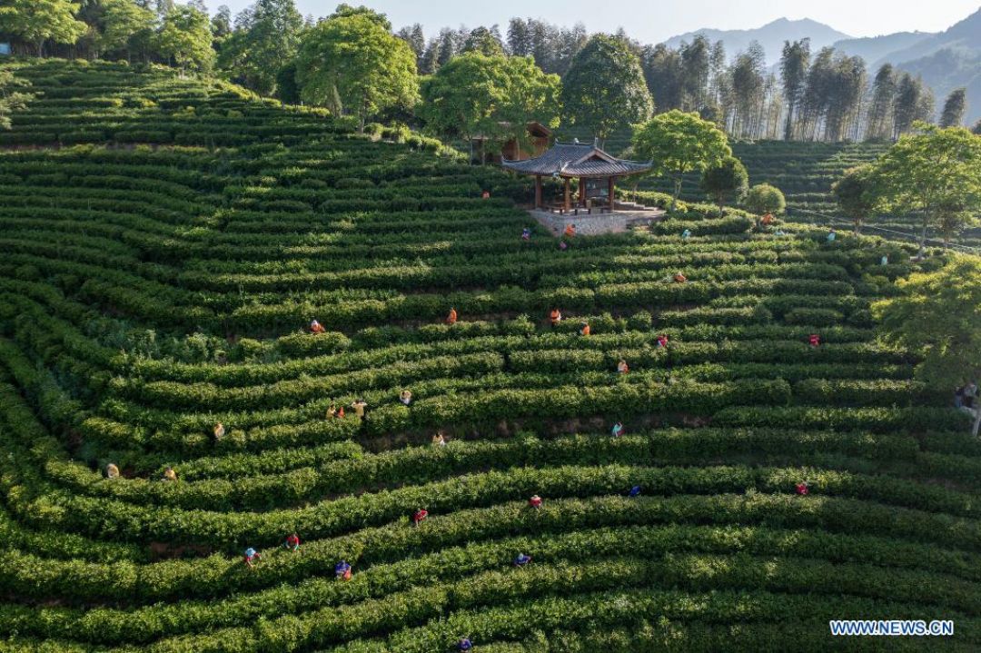 10 Kota di China Dengan Kualitas Udara Terbaik 2021-Image-5