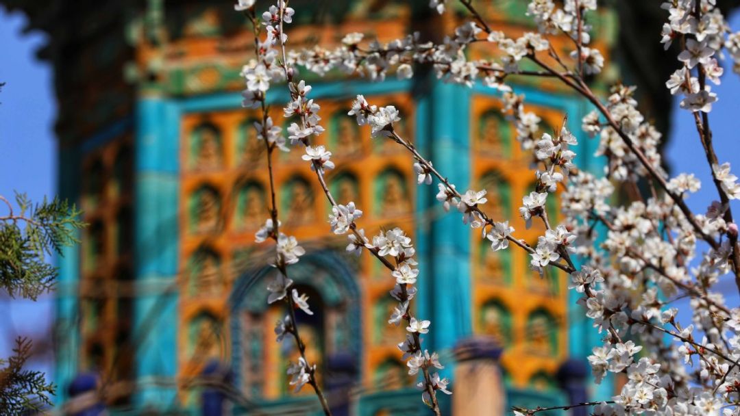 Rekomendasi 3 Tempat untuk Menikmati Musim Semi dan Arsitektur Kuno di Beijing-Image-1