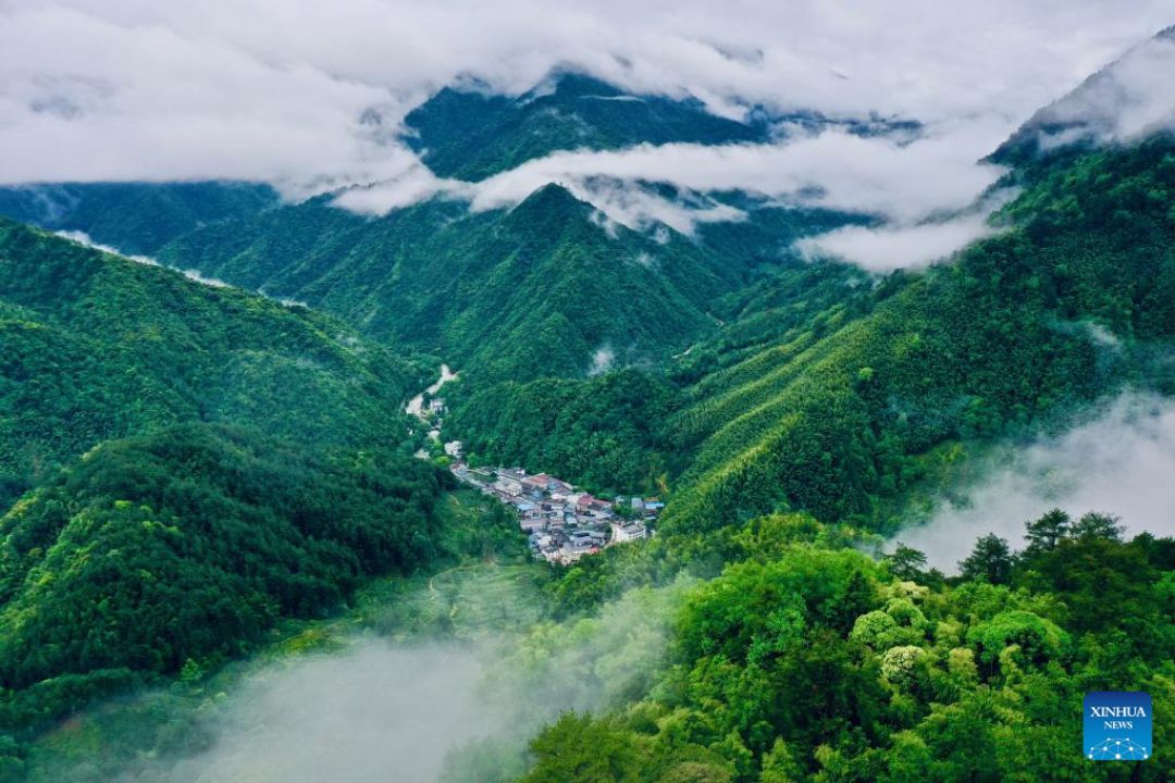 Gunung Wuyi, Pesona Indahnya Dunia-Image-1