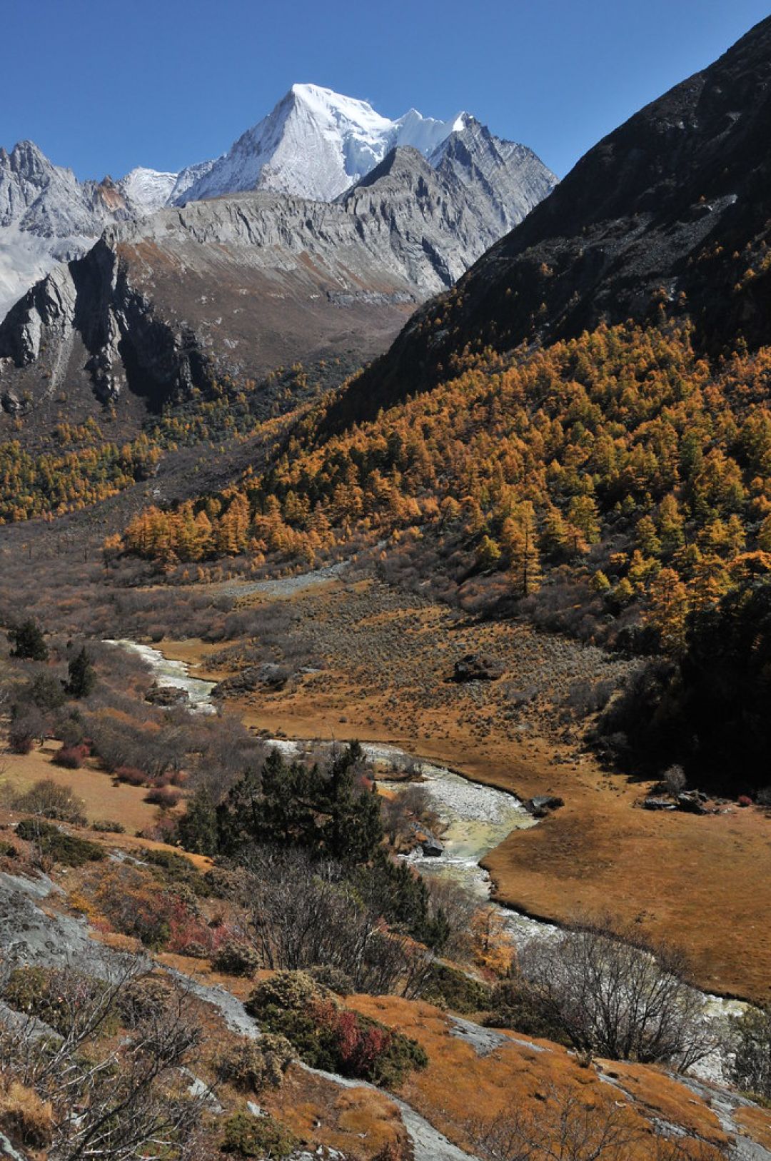 10 Pegunungan Indah di China-Image-4