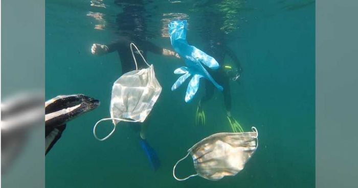 Diperlukan 450 Tahun Urai Sampah Masker di Laut-Image-2