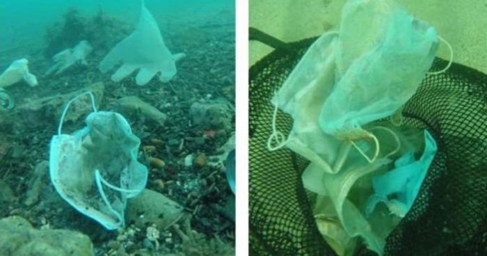 AWAS... Perlu 450 Tahun, Alam Urai Sampah Masker di Laut-Image-1