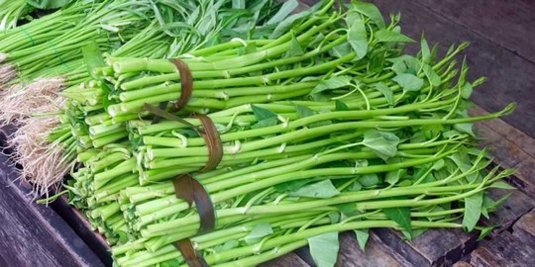 Manfaat Sayur Kangkung Bagi Kesehatan, Cegah Diabetes!-Image-1