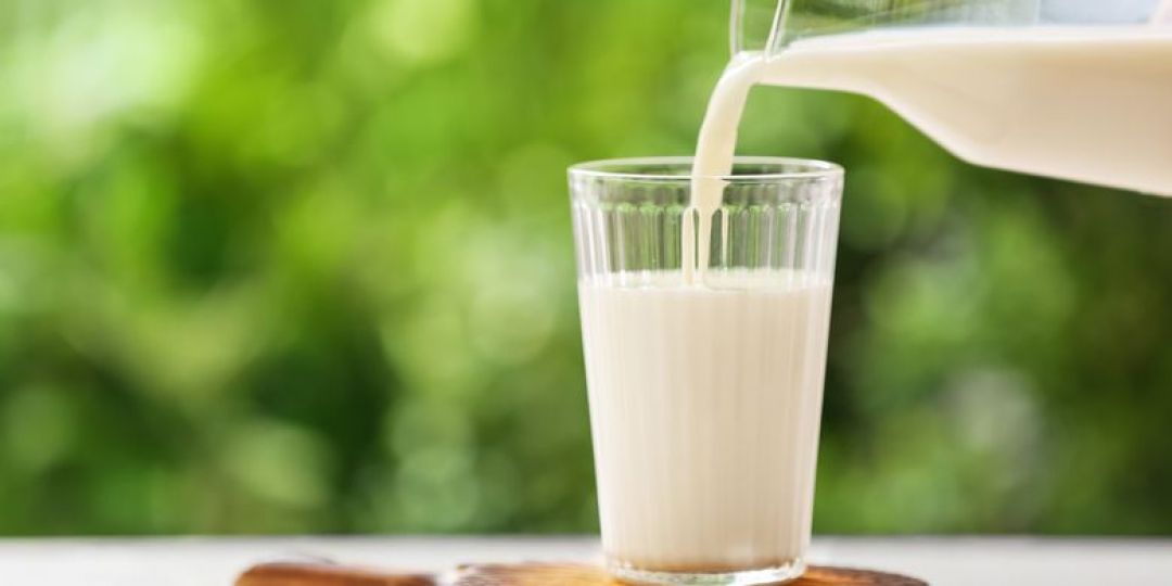 Minum Dua Gelas Susu Sehari Kurangi Risiko Patah Tulang Bagi Lansia 2685