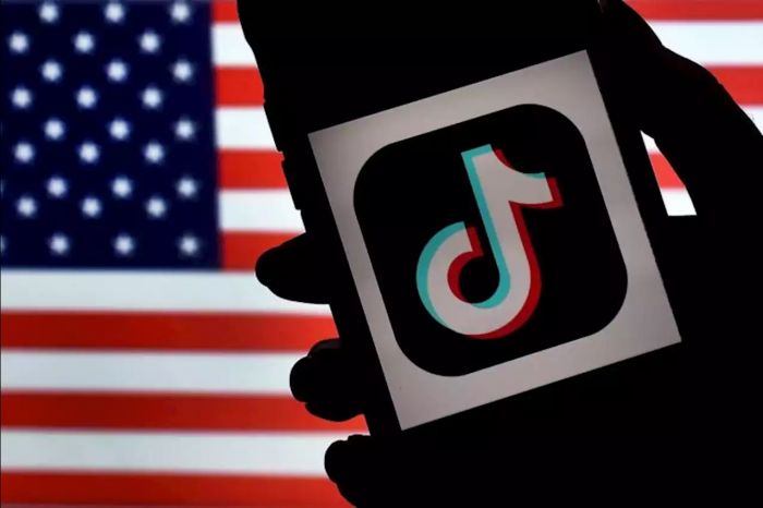 Senat AS Setujui Larangan Aplikasi TikTok di Perangkat Pemerintah-Image-1