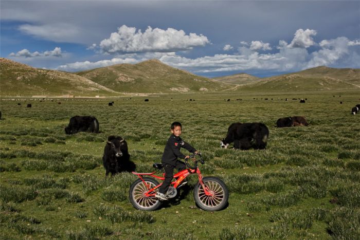 Geliat Anti-miskin di Dataran Tinggi Qinghai-Tibet dalam Fotografi-Image-14