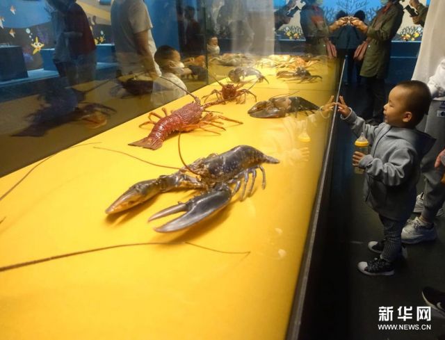 POTRET: Museum Udang dan Kepiting Dibuka di Guangzhou-Image-2