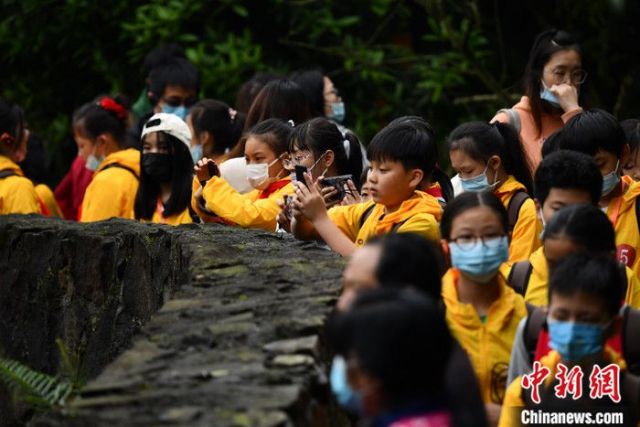 Gembiranya Anak SD Taiwan Lihat Panda Beneran-Image-2