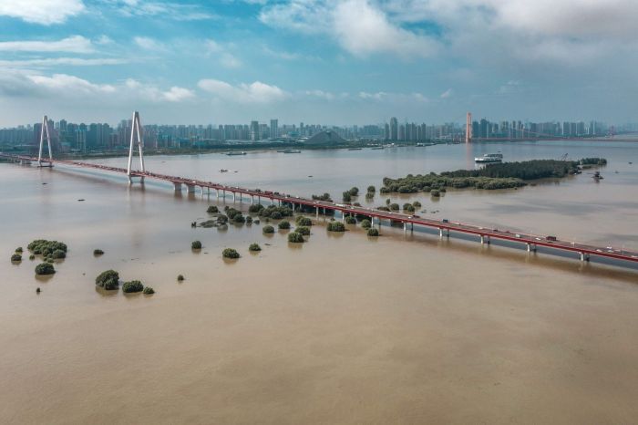 Tiongkok: Hujan Badai di Sungai Yangtze Tidak Sekuat Tahun 1998-Image-1