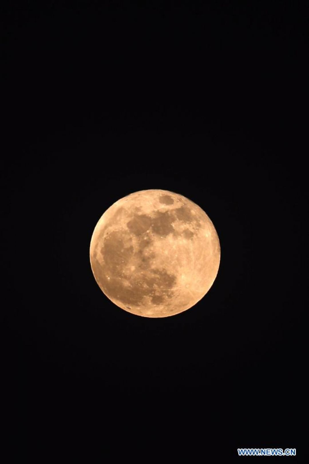 POTRET: Super Blood Moon Terlihat di Seluruh Dunia-Image-6