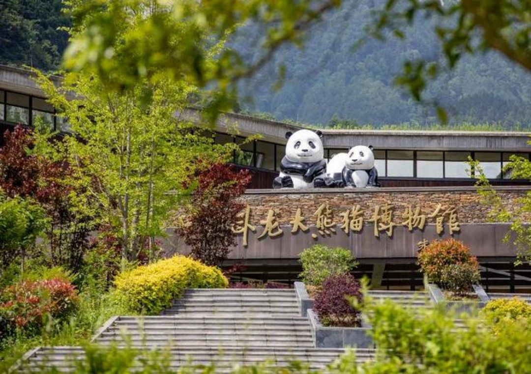 Taman Panda Sichuan Dilindungi dari Pencemaran Lingkungan-Image-1