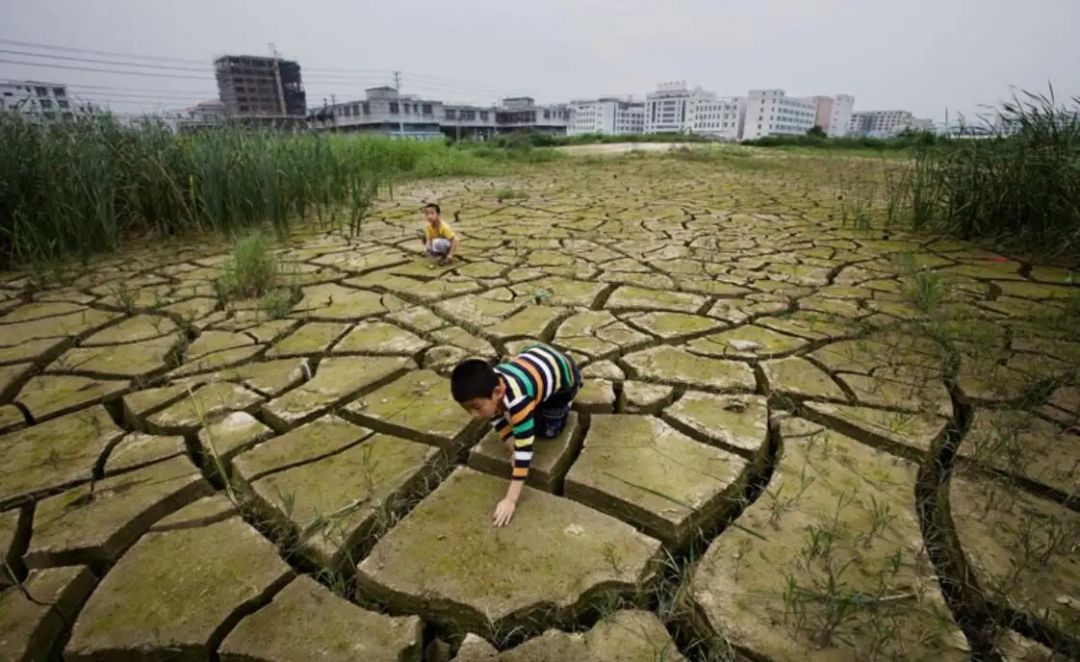 Temuan: China Hilangkan Cadmium Air Tanah-Image-1