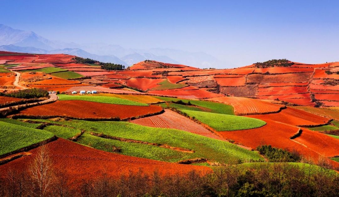 6 Destinasi Wisata Pecinta Fotografi dengan Latar Musim Gugur-Image-3