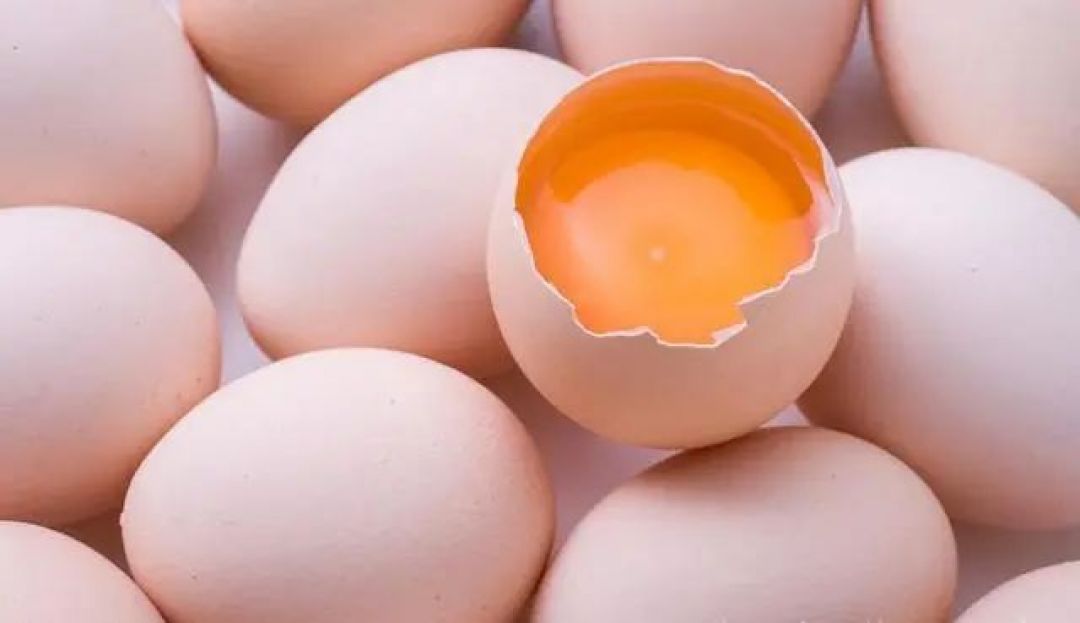 Mana Lebih Bergizi, Telur Ayam, Angsa Atau Bebek?-Image-2