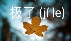 Belajar Mandarin: Penggunaan 极了 (jíle)