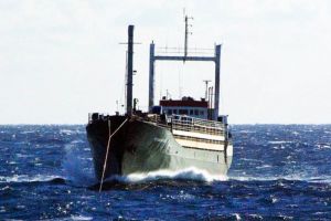 10 ABK Sierra Leone Diselamatkan di Laut China &hellip;