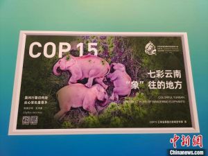 Yunnan Bangun Mekanisme Ilmiah Pengendalian Gajah &hellip;