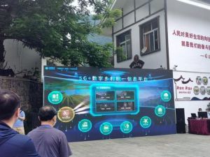 Melongok Desa Digital Huawu China