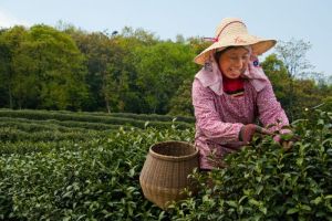 Ilmuwan China Laporkan Temuan Baru tentang &hellip;