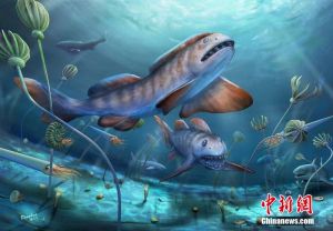 Fosil Ikan 290 Juta Tahun Lalu Ditemukan di Shanxi