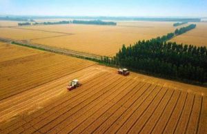 FAO: Sistem Pertanian China Terbaik Dunia