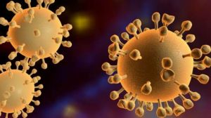 Ilmuwan Cina Identifikasi Evolusi Virus Flu Burung