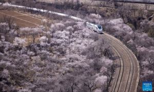 China Izinkan Tur Wisata Kereta Api