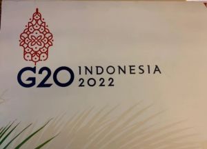KTT G20 Dalam Bayangan Boikot Multinasional