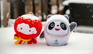 Kenang 5 Kehangatan Paralimpiade Beijing 2022