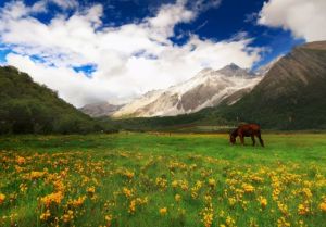 Area Wisata Pemandangan Daocheng Yading Dibuka &hellip;