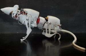 Peneliti China Bikin Robot Tikus, Super Gesit