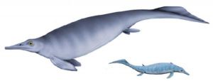 China Temukan Fosil Ikan Purba Periode Jurassic