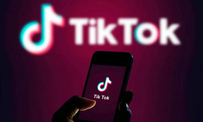 Lawan Trump! TikTok Akan Tuntut Perintah Eksekutif AS Senin Mendatang-Image-1