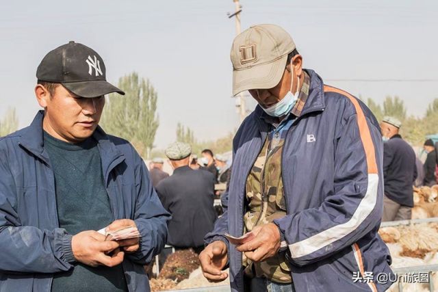 Pasar Sapi dan Domba Gambarkan Kehidupan di Xinjiang-Image-3