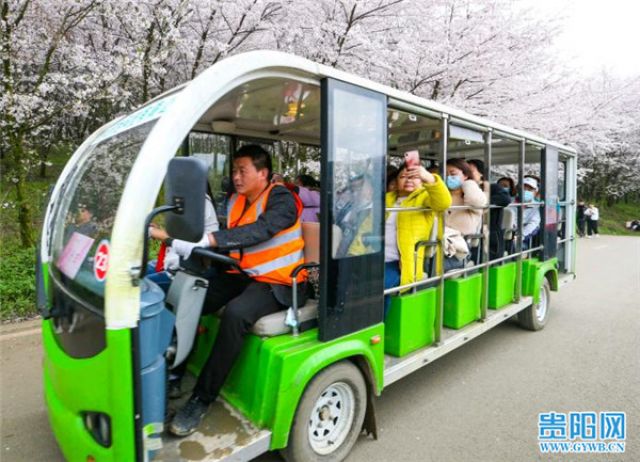 Wisata Bunga Sakura di Gui'an Diharapkan Bantu Kehidupan Warga Sekitar-Image-2