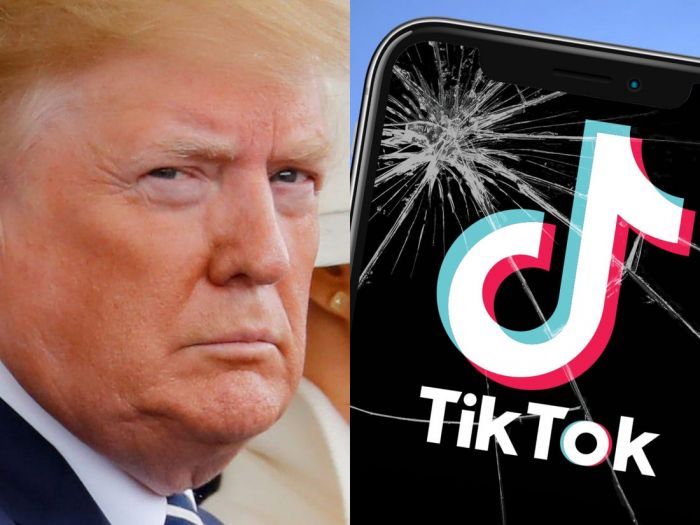 TikTok Bersiap Akan Gugat Perintah Eksekutif Trump -Image-1